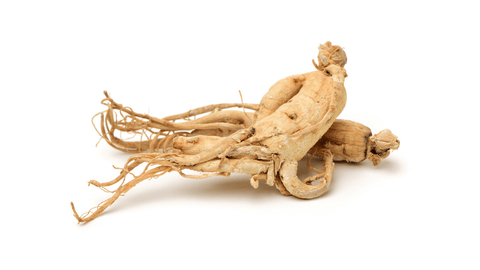 Best ginseng supplement benefits for energy 2021 - Cracked Supplements