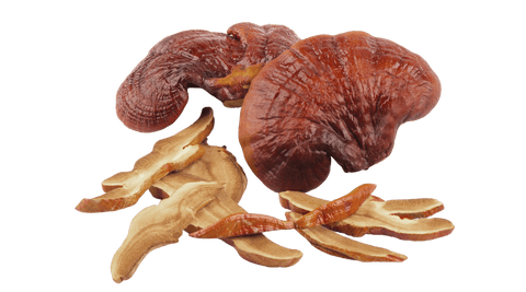 Best Reishi Mushroom Supplement Benefits - Cracked Supplements