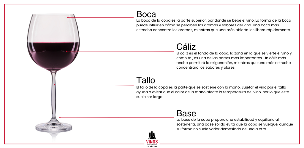 Existe un tipo de copa para cada vino? - Bodega LAUS · Aromas del Somontano