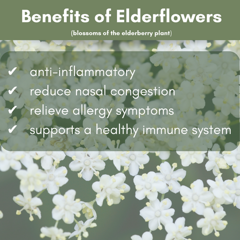 Elderflowers help reduce hayfever symtopms