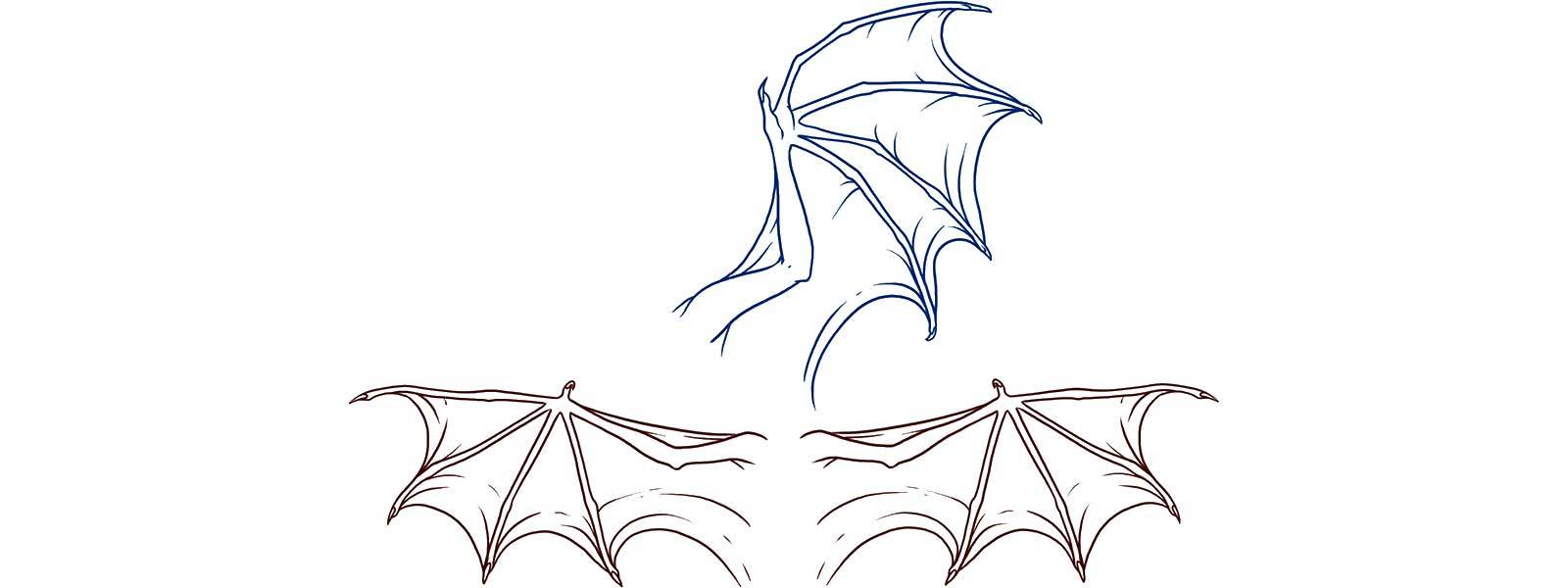 How to Draw Dragon Wings