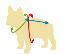 フレンチブルドッグ服のサイズ計測方法