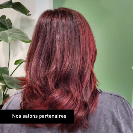 Nos salons partenaires 