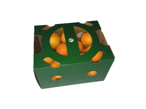 https://cdn.shopify.com/s/files/1/0513/1809/6042/products/clementine-box-1-kg-869909_250x250@2x.jpg?v=1701485544