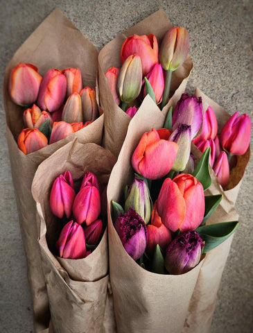 tulip bouquet