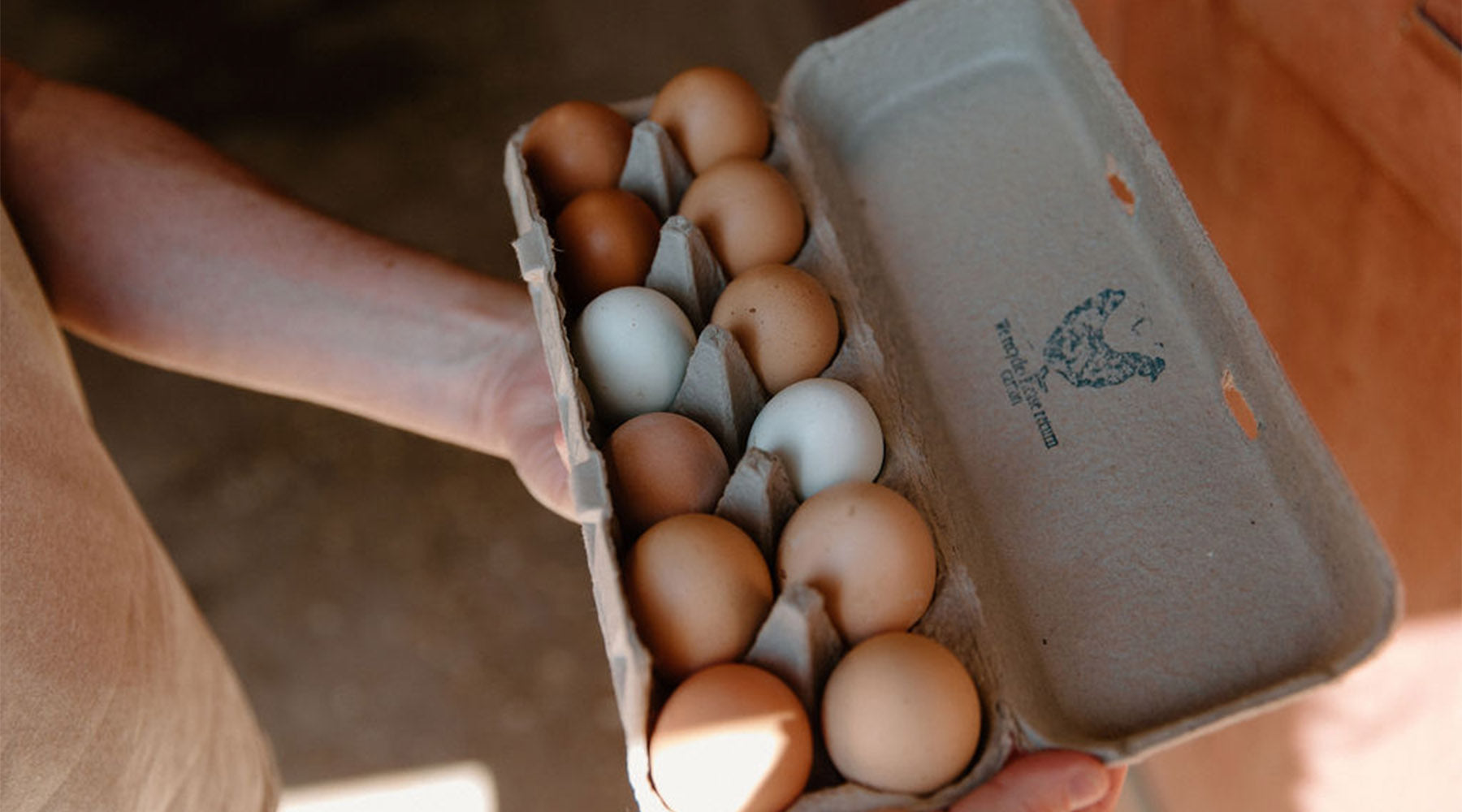 free range eggs