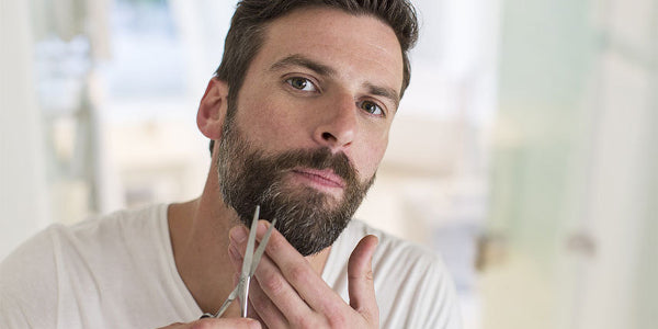 Beard Care 101: How to Maintain Your Beard – Brickell Men's Products®