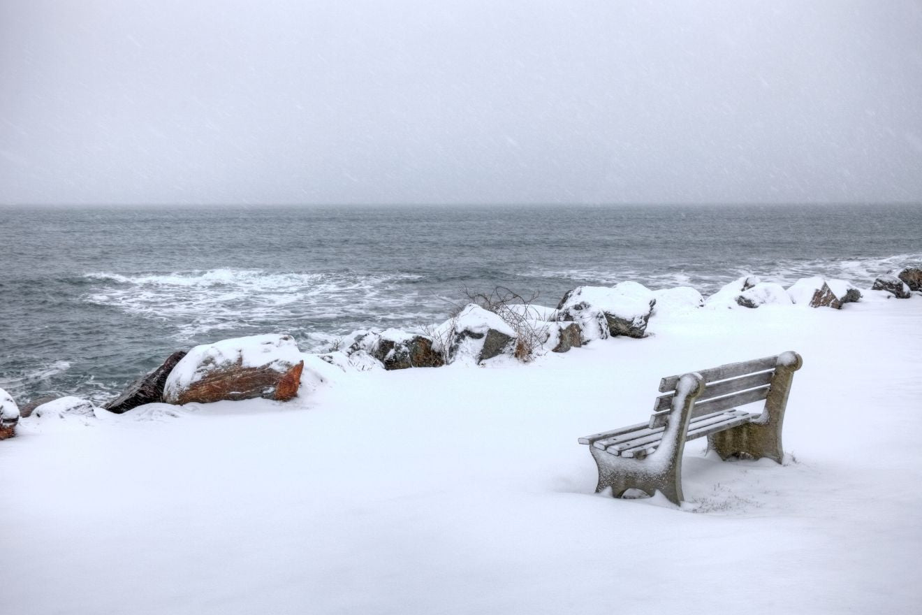 Park bench covered in snow