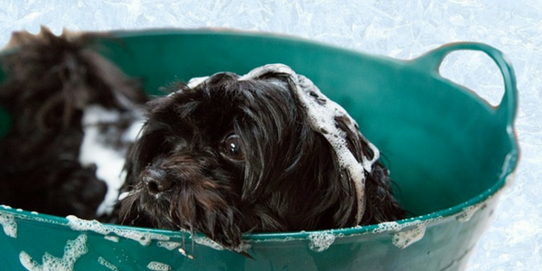 Are You Washing Your Hair Too Often?