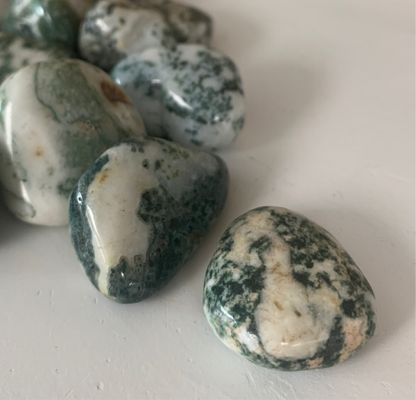 Moss Agate Tumbled Stone | Ethical Crystals, Ascension Jewelry and
