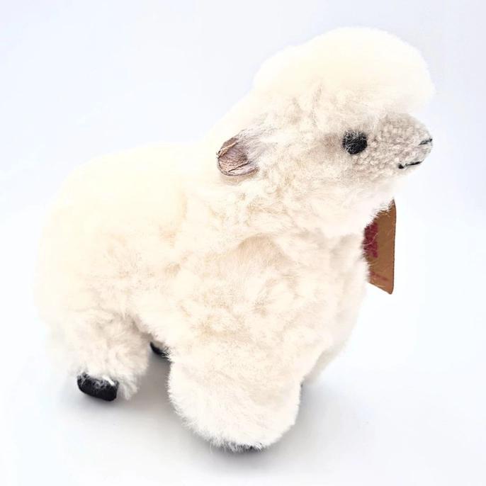 Alpaca Lambie