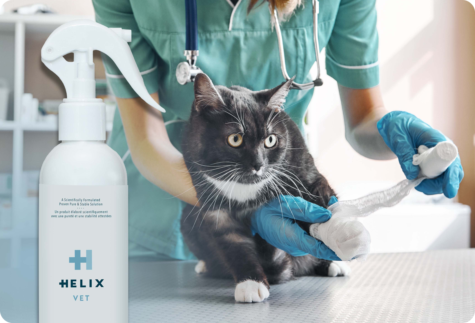 Cat being treated in veterinary office with HELIX Vet bottle nearby