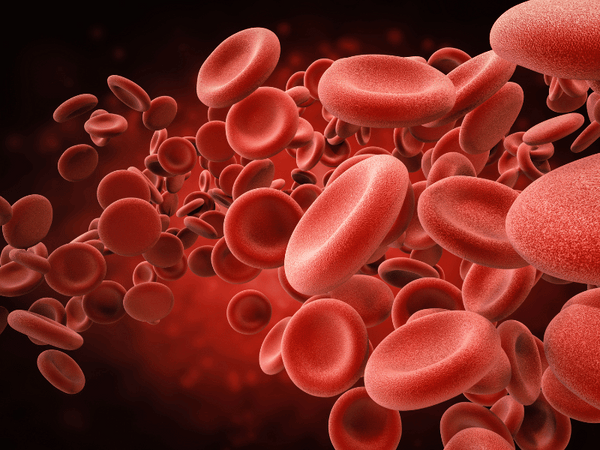 an animated image of increased blood flow.