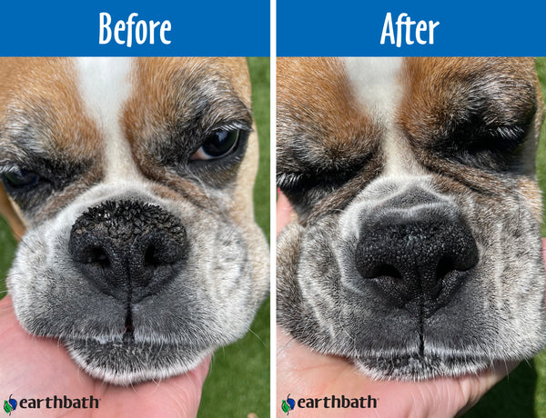 earthbath Treatment Balm Before & After
