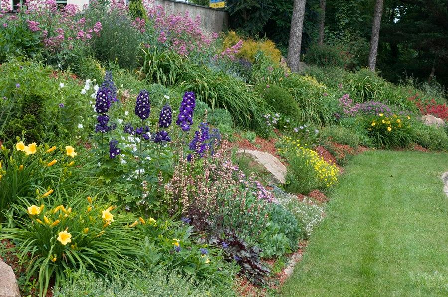 Plant Collections for Sale: Planting Packs from Our Growers - Roots Plants