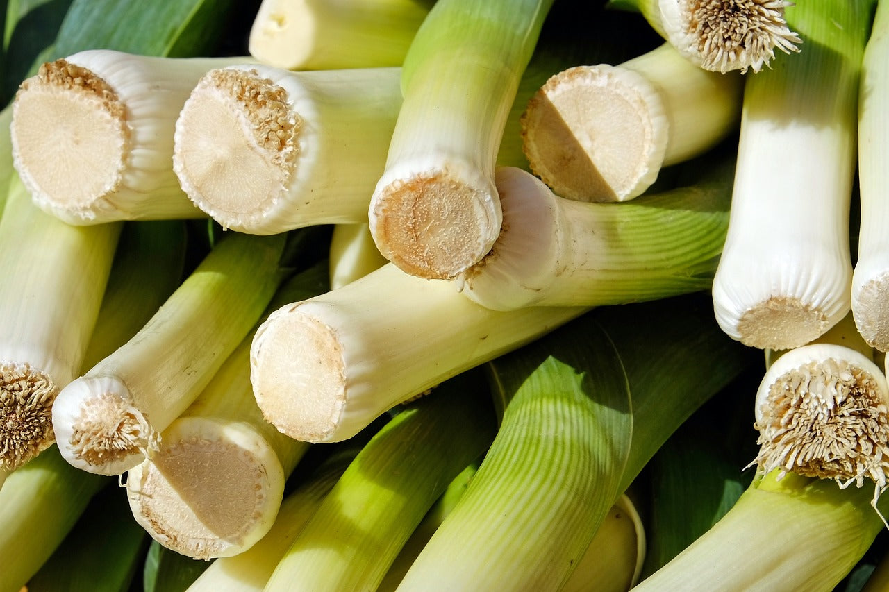 How to Grow Leeks