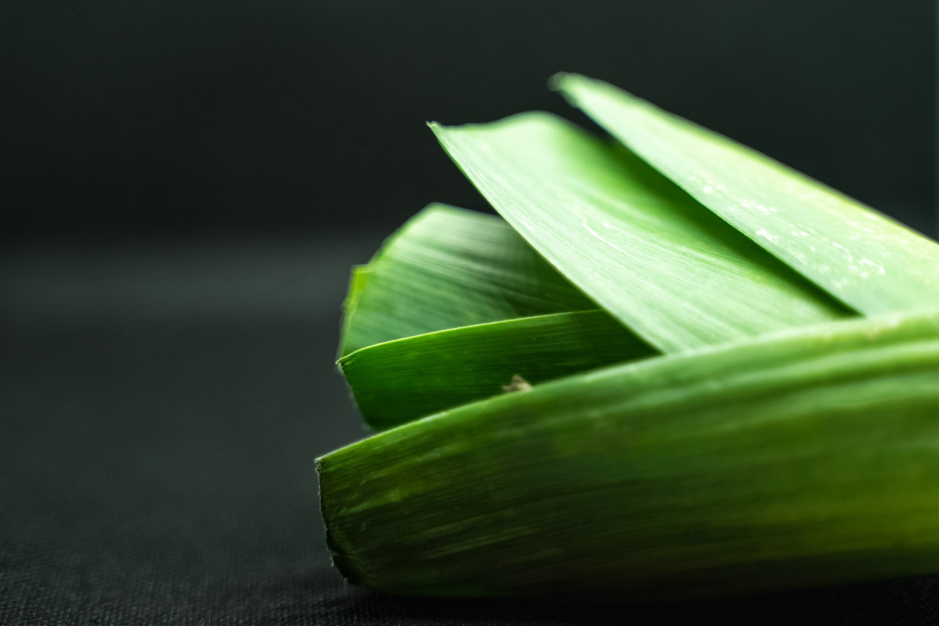 How to Grow Leeks