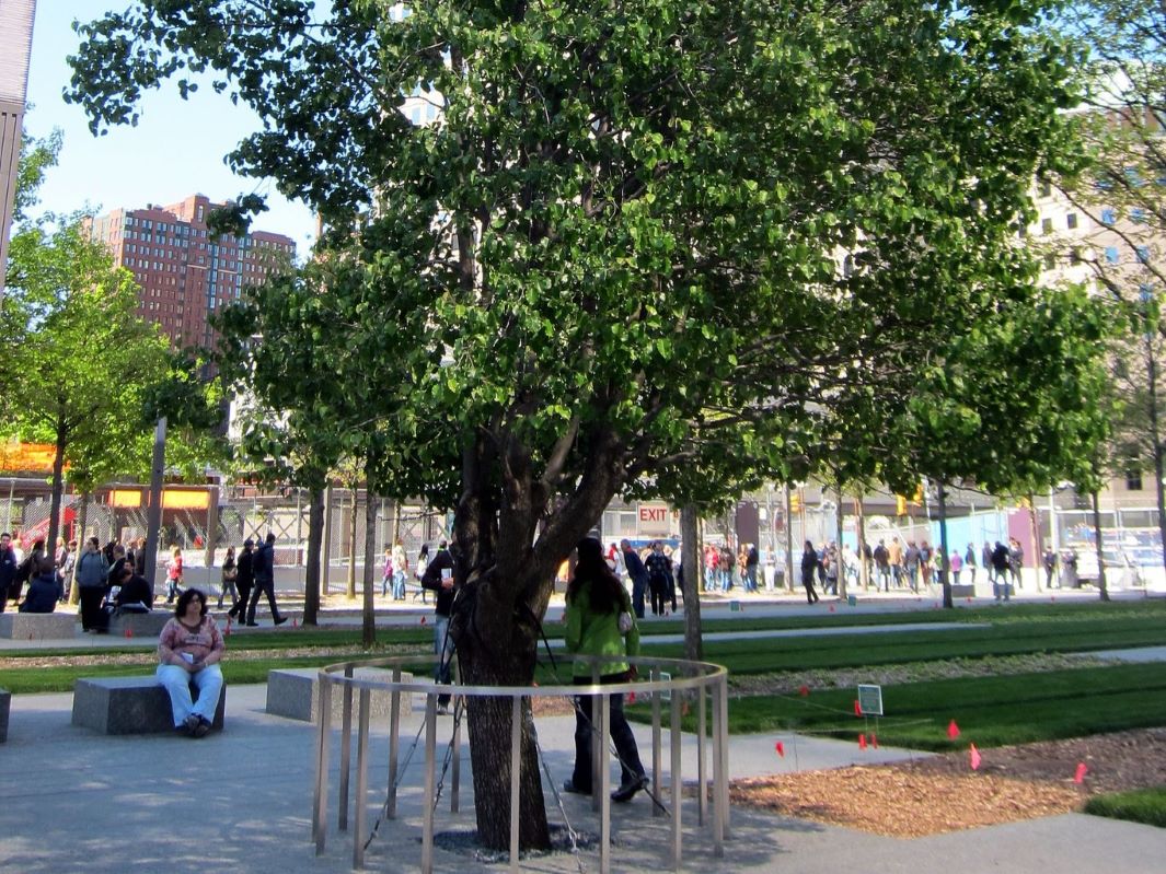 National September 11 Memorial & Museum - Flowers were placed at the Survivor  Tree on the 9/11 Memorial for the victims of the Manchester bombing. Our  thoughts and prayers are with the