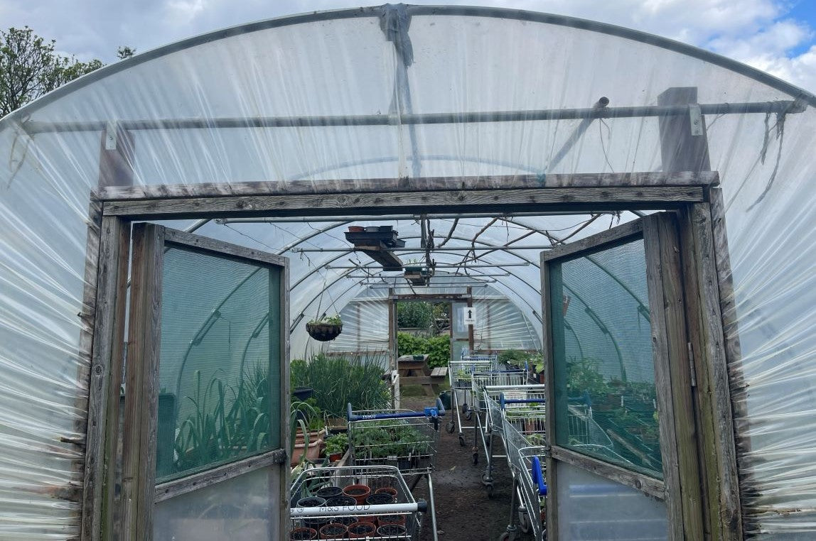 Polytunnels