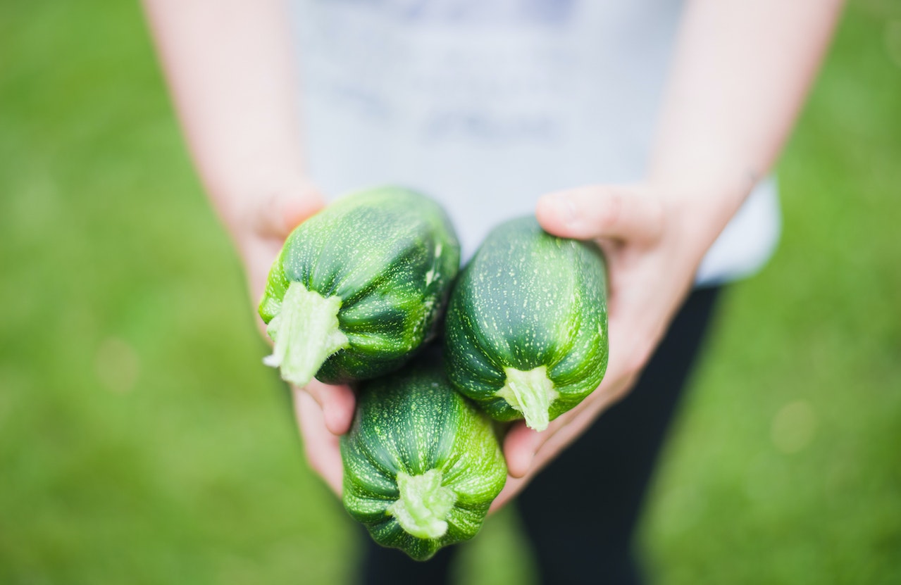how to grow courgettes