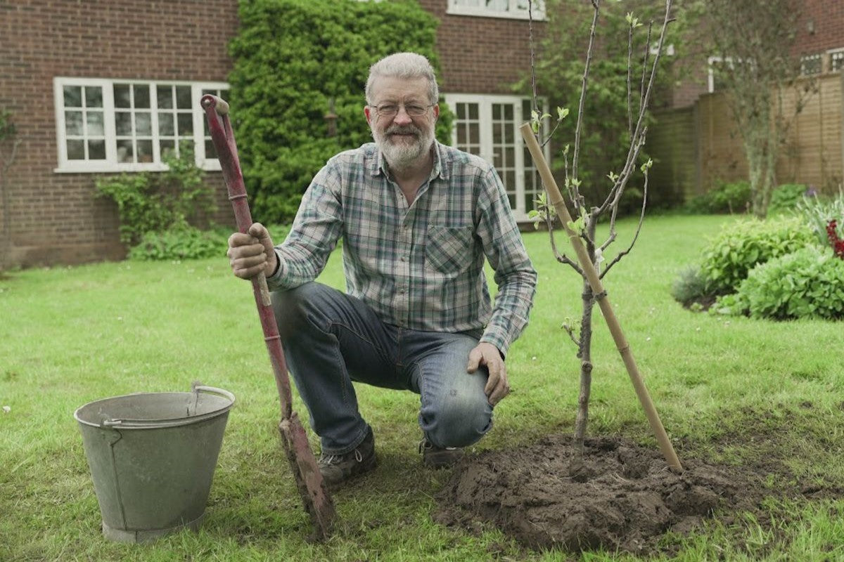 John our tree grower