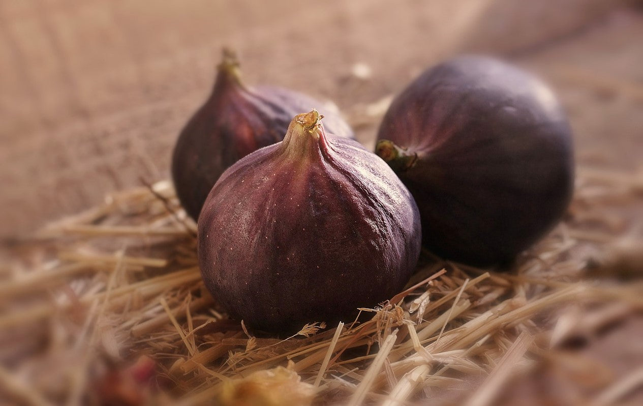 harvested figs