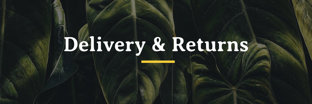 Roots delivery and returns