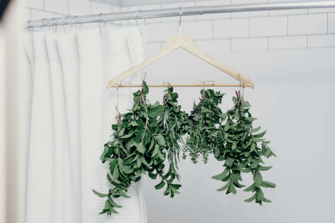 air drying herbs