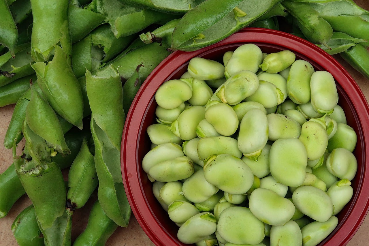 How to Support your Peas and Beans