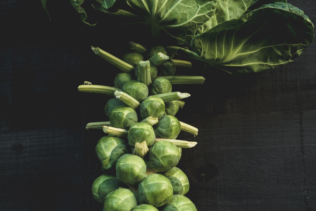 brussels sprouts