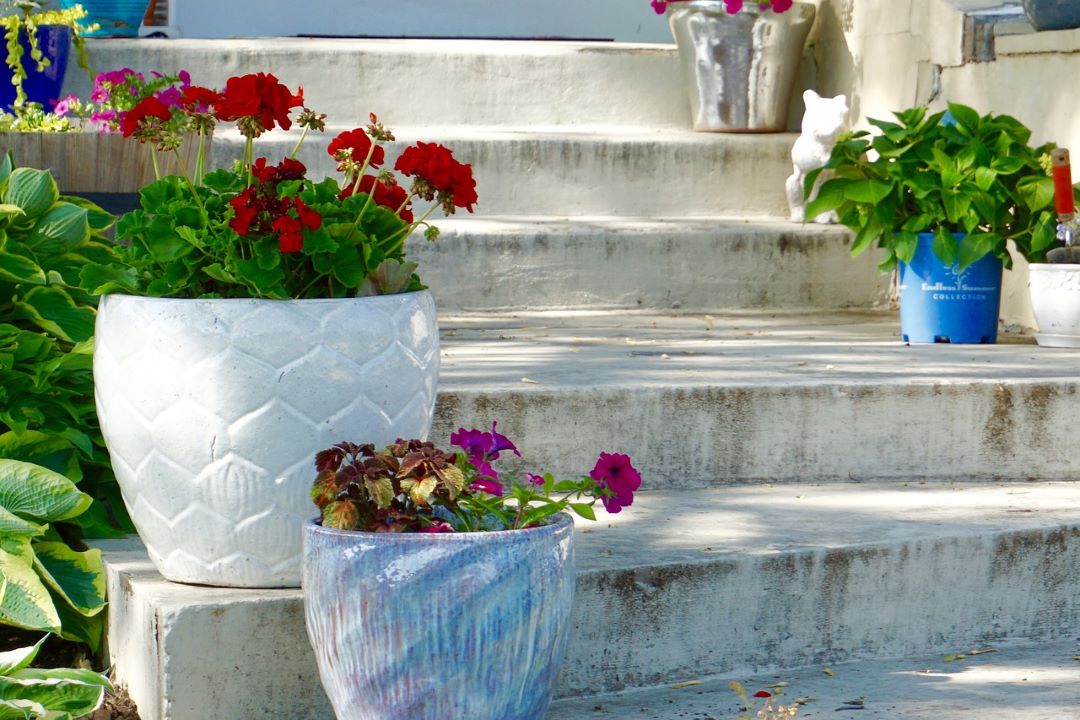 container garden steps