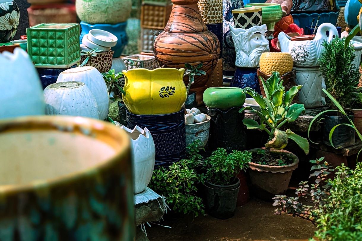 containers for planting