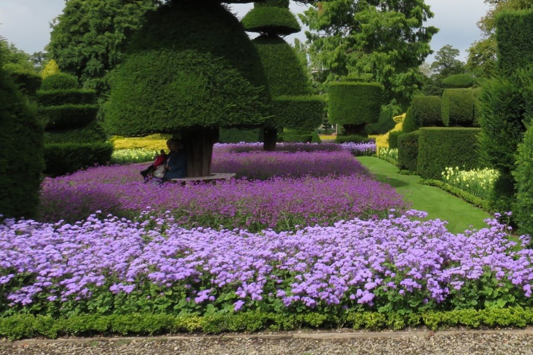 coordinated planting