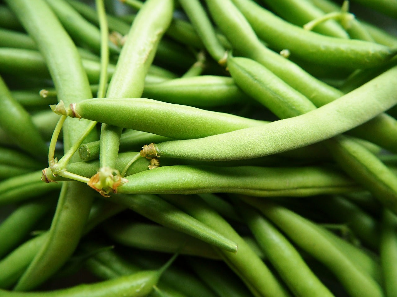 How to Support your Peas and Beans