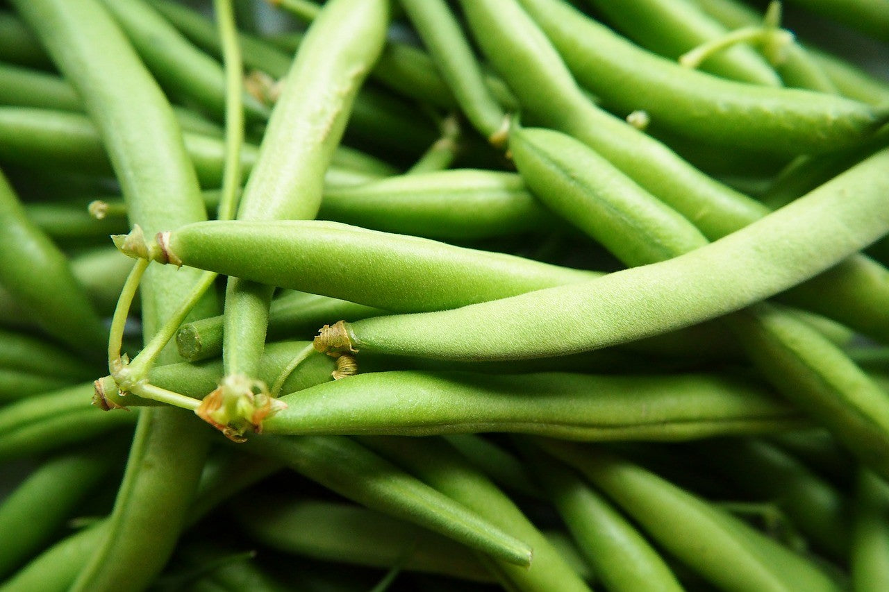 french beans