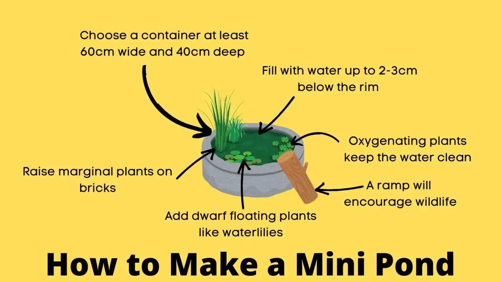 how to make a patio pond infographic