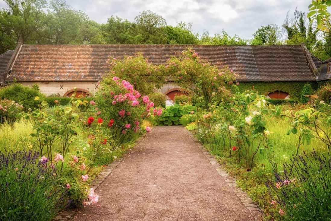 rose cottage garden