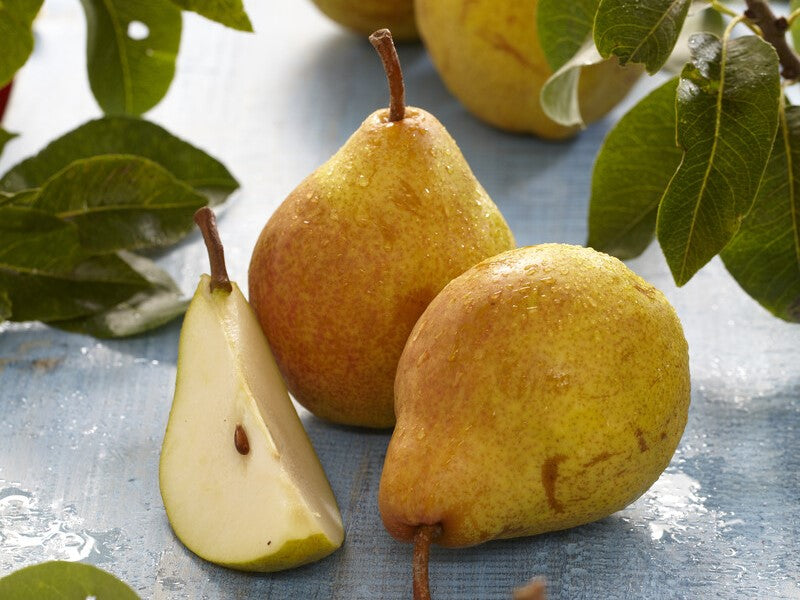 williams pear