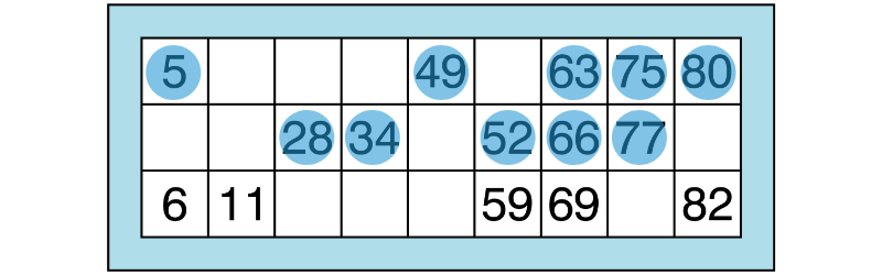 Bingo Rule - How to play Bingo
