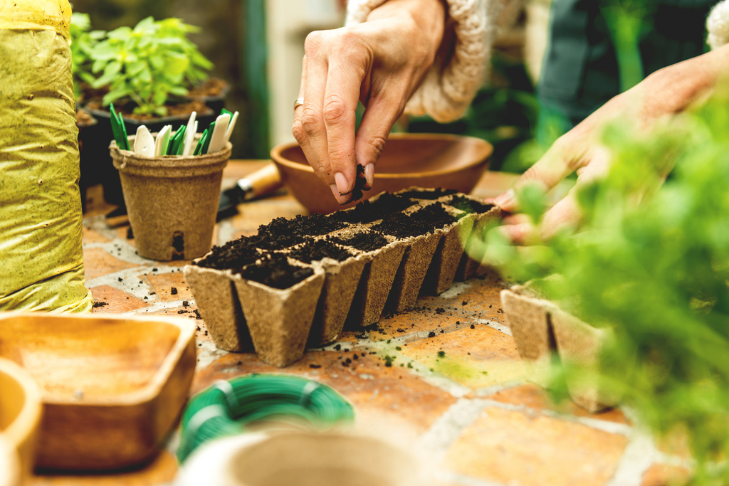 Creating Your Own Garden Oasis: A Guide to Beautiful Flower Planters - The Magic Toy Shop