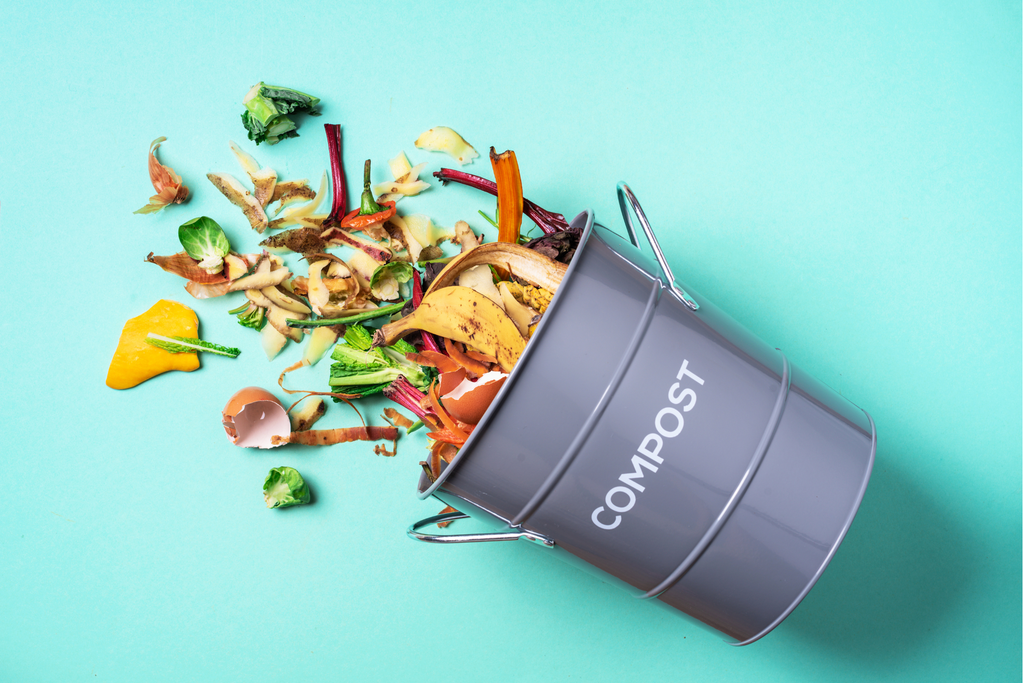 Ultimate Guide to Composting: Common Mistakes and How to Avoid Them