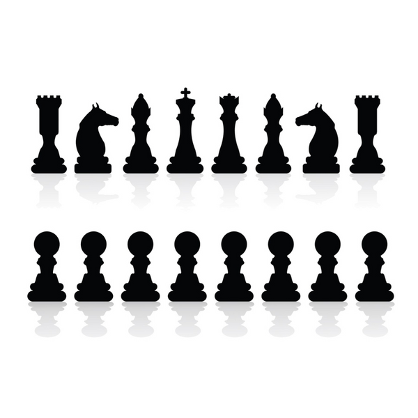 Chess Unriddled: A Beginner's Guide to the Royal Game - The Magic Toy Shop Blog