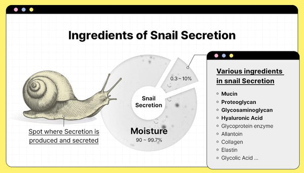 Ingredients of Snail Secretion