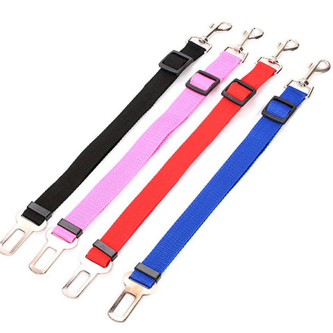 Black, Pink, Red and Blue Dog Car Seat Belts in front of a blank background