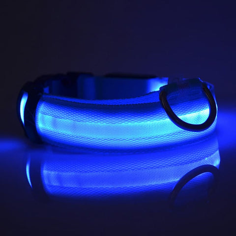 The Blue LED Dog Collar turned on and glowing in the dark