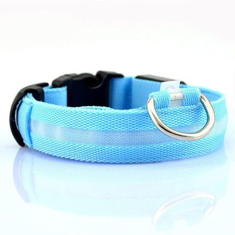 Sturdy metal D-ring on the Blue LED Dog Collar