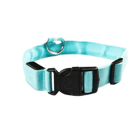Quick-release buckle on the Blue LED Dog Collar