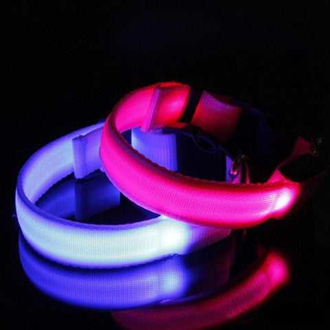 Blue and Pink LED Dog Collar turned on and glowing in the dark