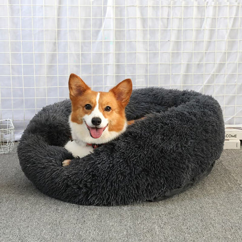 A Corgi laying on a charcoal Calming Cuddle Bed