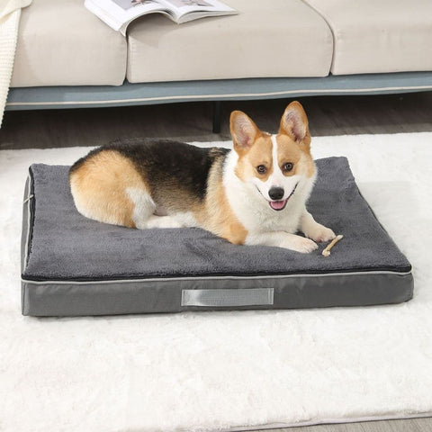 Corgi laying on Charcoal Orthopedic Memory Foam Dog Bed